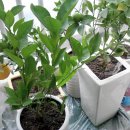 종만농장 이미지