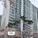 서해공인중개사사무소 이미지