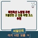 미진축산강릉노암점