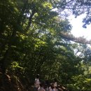 솔애유치원 이미지