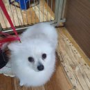 갈산지구대 이미지