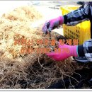 허준약초골 이미지