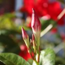 북경여인숙 이미지