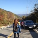 (주)질경이 이미지