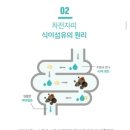 바디리셋 이미지