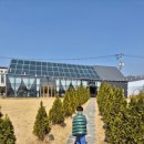 로사넬라 | 원주 아이와 절화 꽃꽂이체험 로사넬라 카페 주차 가격 내돈내산 솔직후기