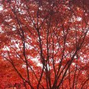 가림농장 이미지