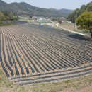 동남명품공인중개사사무소 이미지