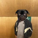 포레스트가든 이미지