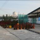 대산축산농장 이미지