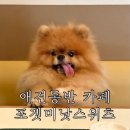 포겟미낫스위츠 | 한강진역 애견동반 카페 포겟미낫스위츠