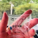 2시콘서트-재즈 | 3rd 팜트리 아일랜드 갈라콘서트 후기