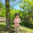 봄소풍-담양 어린이프로방스 이미지