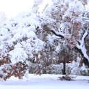북촌생활사박물관 | 서울 겨울 꼭 가볼만한 곳, 국립민속박물관 설경!