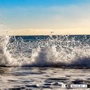 행복열매