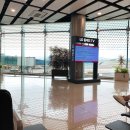하늘나무공방 | [제주 여행] 행복했던 제주도 3박 4일 여행 / 20.06.25-28