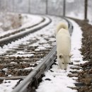 시화부동산공인중개사사무소 이미지