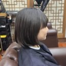 애플헤어 | 대전 미용실 추천｜초등 곱슬머리 어뉴 애플헤어 솔직한 후기