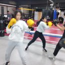 번영 복싱체육관 이미지