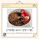 요거트월드광명역점 네이버블로그