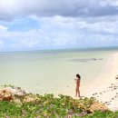 카리브해 이미지