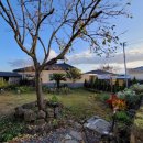 명월성 돌담집 이미지