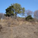 대덕면사무소 이미지