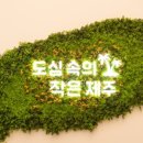 제주스 네이버블로그
