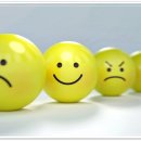 인성교육 지도사 이미지