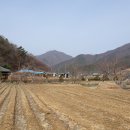 농암초교 청화분교장 이미지