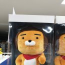 중리공단로-2 이미지