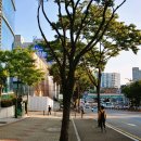 성남대로1180번길 이미지