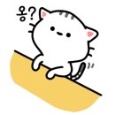 팔영산 흑염소 이미지