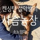 구성사슴농장 이미지