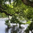 반곡저수지 이미지