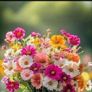 심방경로당 이미지