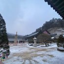 바라보기, 나의 국보 문화답사기, 五臺山 月精寺, Woljeongsa, 오대산 월정사, 팔각 구층 석탑