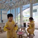 영광사슴목장 | 동물과 가장 가까운 곳에서 체험할 수 있는 곳 알파카월드 🐾