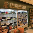 신세계마트 | 핍스마트 신세계백화점 강남 팝업스토어 방문 후기