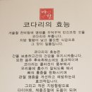 바담코다리 명지점 이미지