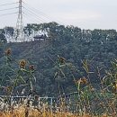 열린행정사 이미지