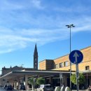 부부를 위한 소통과 공감의 MBTI(신혼부부편) | 8. 유럽 스위스 이탈리아 신혼여행- 이탈리아 4일차 : 피렌체/피사의사탑/피사 피자맛집/친퀘테레...