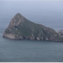 호장도 수산신문