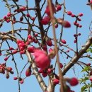 산척농약종묘사 | 충주 제천 집 수리의 달인 만능박사 충주시 산척면 조립식 건축 되메우기 공사 설비 공사