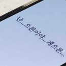 제뉴어리 네이버블로그