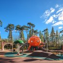 현대건설아파트 (앞) 이미지