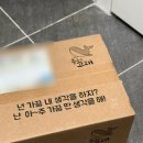 진고래 | 춤추는고래 입오버 라이너 후기
