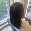 테라헤어 - 춘천시 | [서울 송파] 문정동미용실 매직커트하 고 온 후기 @준오헤어 문정역테라타워점