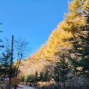 아리조나카페&매점 이미지