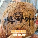 보람다방 | [강릉 카페] 강릉 여행 강릉빵다방 본점 내돈내산 웨이팅 후기